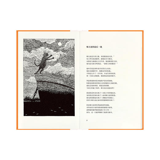 《老负鼠的实用猫经》 商品图1