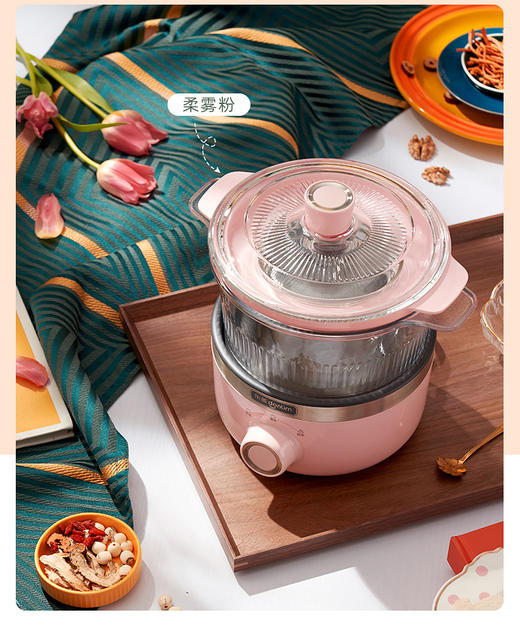 【安达联帮&东菱&仅限快递】炖煮锅DL-9002（厂家直发）
 商品图2