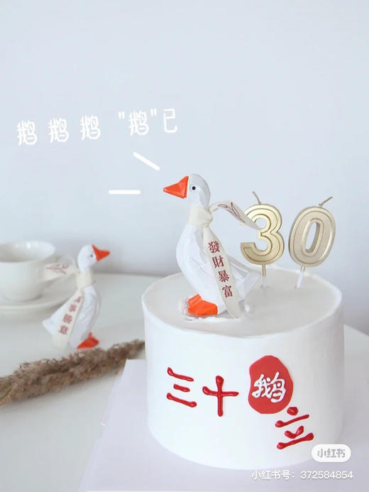 三十鹅立，万事顺意大白鹅 商品图6