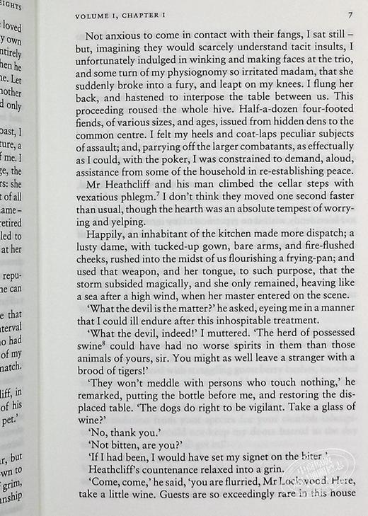 预售 【中商原版】呼啸山庄 Wuthering Heights 英文原版 Emily Bronte Lucasta 商品图8