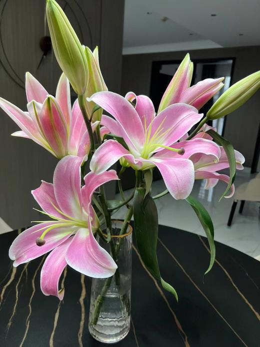 多头百合花（七成开放度） 商品图1