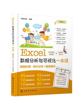 Excel数据分析与可视化一本通