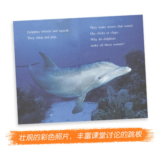 进口英文原版 Amazing 神奇动物系列 6册合售 I can read Level 2 商品图2