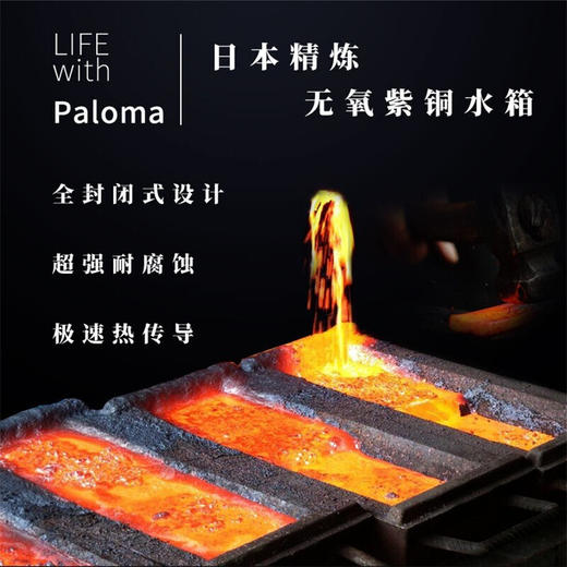 百乐满（Paloma）燃气热水器 16F 室内家用 智能恒温日本原装进口 JSQ31-PH-16F 商品图4