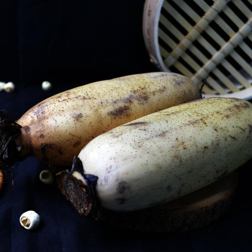 限时团|新鲜现挖-地道的洪湖青泥巴藕，粉糯耐煮适合煲汤【京东物流;5天内发货 急件慎拍】 商品图12