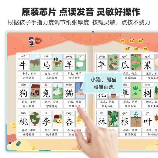 (仓发) 会说话的看图识字大王点读发声书 宝宝婴幼儿童学前早教启蒙有声绘本故事书汉字拼音识字卡片读物/69218245508206921824550820 商品图5