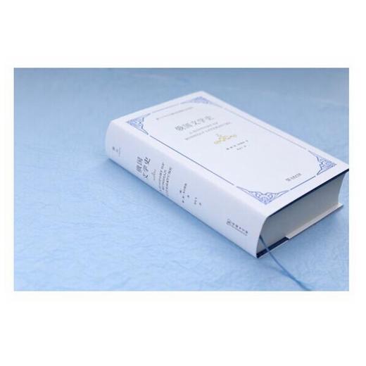 俄国文学史 商品图5