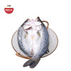 珠海白蕉海鲈鱼400-500g/条 肉质鲜嫩 筷子戳出蒜瓣肉 京东发货 商品缩略图2