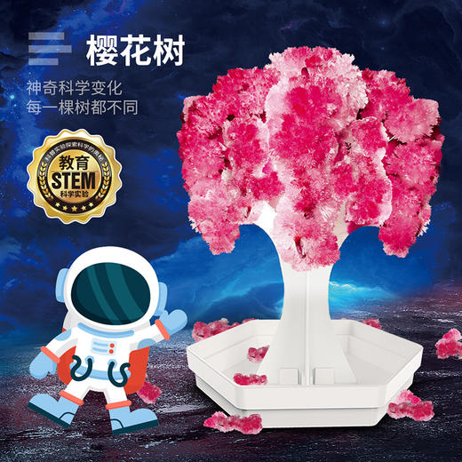 托思奇魔法圣诞树纸树开花儿童科学diy实验玩具圣诞节礼物 商品图3