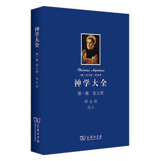 神学大全 第一集 第6卷 商品图0