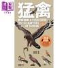 预售 【中商原版】猛禽观察图鉴 全新增订版 港台原版 林文宏 远流出版 商品缩略图1