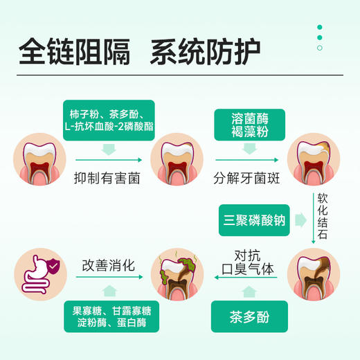 麦富迪旗舰店狗零食磨牙棒每日洁齿犬用犬用洁齿骨清新口气耐咬70 商品图2