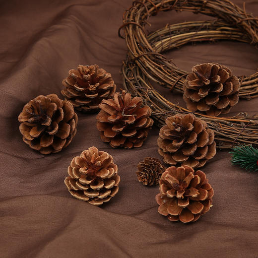 【圣诞饰品】花衣裳圣诞松果 商品图6