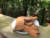 肉桂50克 紫油桂 紫油肉桂  高山紫油肉桂 可代客打粉 商品缩略图0