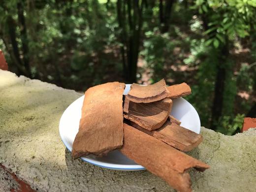 肉桂50克 紫油桂 紫油肉桂  高山紫油肉桂 可代客打粉 商品图0