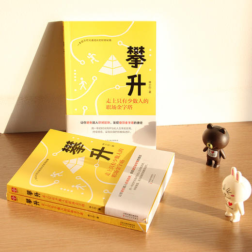 (仓发) 攀升：走上只有少数人的职场金字塔/天津人民出版社/林小白/97872011530639787201153063 商品图1