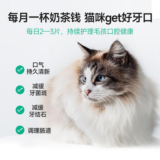麦富迪冻干猫零食每日洁齿猫咪冻干洁齿粒磨牙清新口气宠物小零食 商品图3
