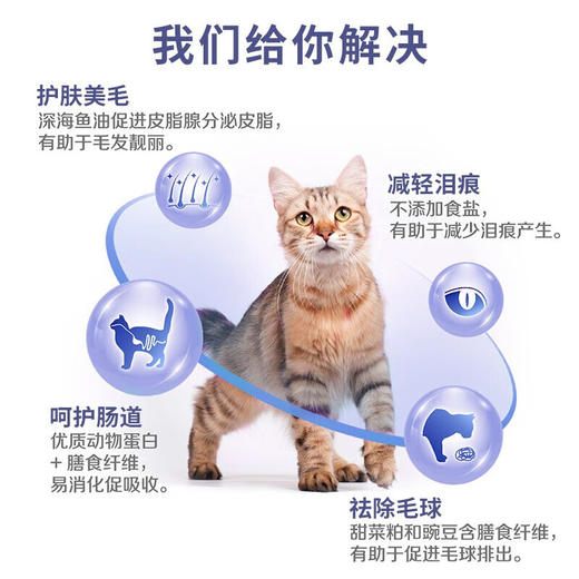 顽皮(Wanpy)猫粮 全价全期猫粮冻干三文鱼鸡肉添加冻干双拼粮猫咪主粮 商品图3