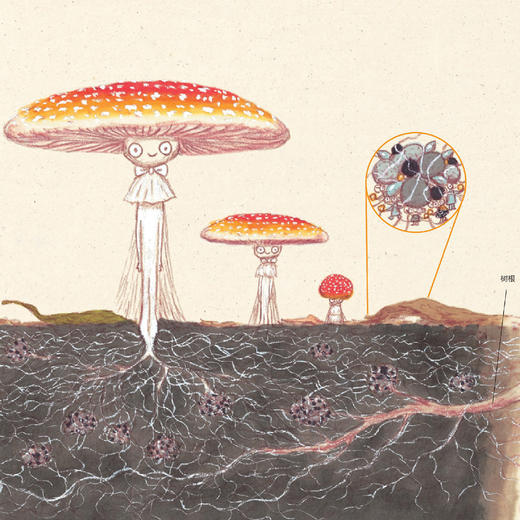 《大科学之友·如果来到天空之上》（共7册） 商品图5