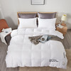 金丝莉（KINTHERI） 皇冠假日白鹅绒被  200x230cm 商品缩略图1