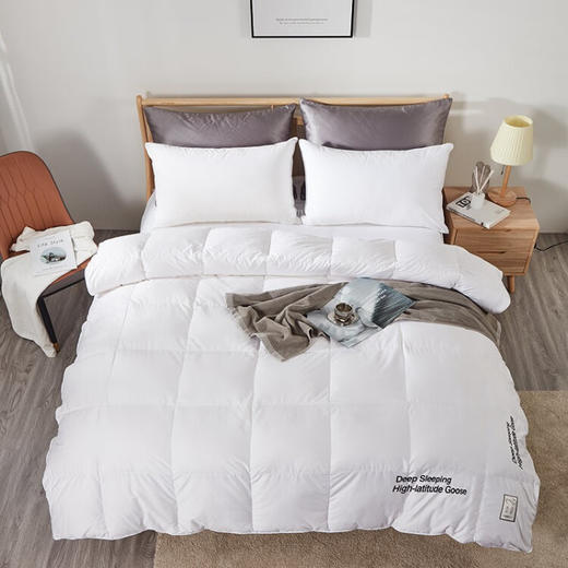 金丝莉（KINTHERI） 皇冠假日白鹅绒被  200x230cm 商品图1