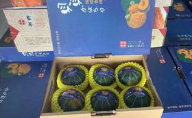 南瓜（毛重约5斤）