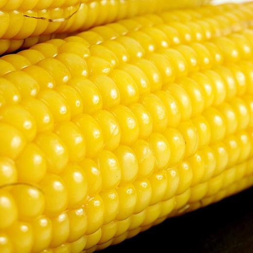 JF-鲜糯玉米200g*8 商品图4