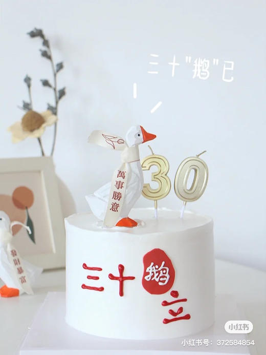三十鹅立，万事顺意大白鹅 商品图8