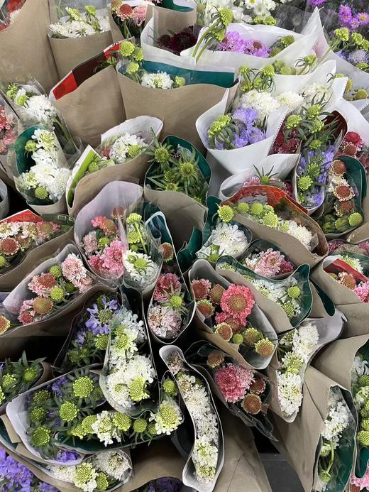 【草莓琥珀】 松虫草  多色可选 商品图14