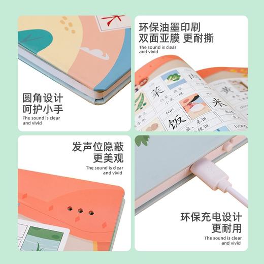 (仓发) 会说话的看图识字大王点读发声书 宝宝婴幼儿童学前早教启蒙有声绘本故事书汉字拼音识字卡片读物/69218245508206921824550820 商品图6