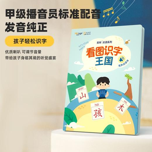 (仓发) 会说话的看图识字大王点读发声书 宝宝婴幼儿童学前早教启蒙有声绘本故事书汉字拼音识字卡片读物/69218245508206921824550820 商品图7