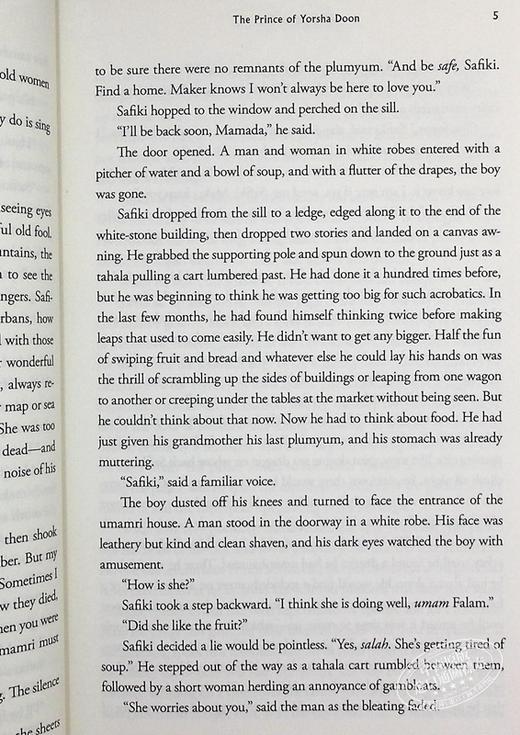 【中商原版】羽翼传奇5 英文原版 The Wingfeather Saga 5 Andrew Peterson 商品图8