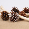 【圣诞饰品】花衣裳圣诞松果 商品缩略图9