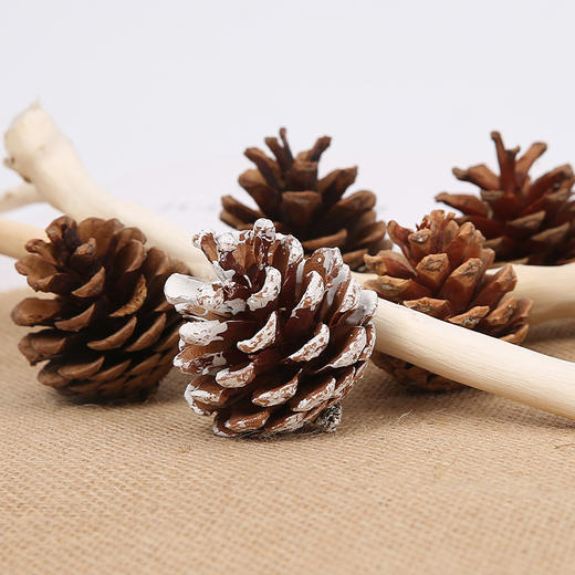 【圣诞饰品】花衣裳圣诞松果 商品图9