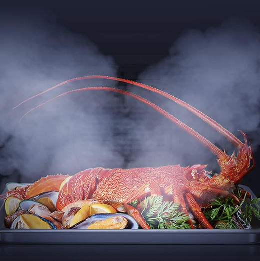 海尔（Haier）蒸烤炸一体机 H1SO46BGU1 商品图4