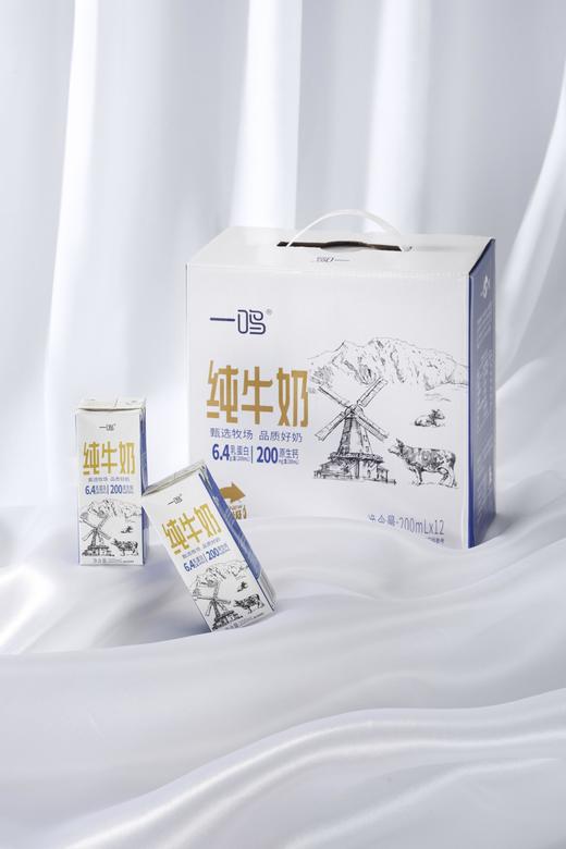 一鸣真鲜奶吧生牛乳牛奶家庭营养早餐牛奶儿童纯牛奶两箱装（200ml*12盒*2箱） 商品图1