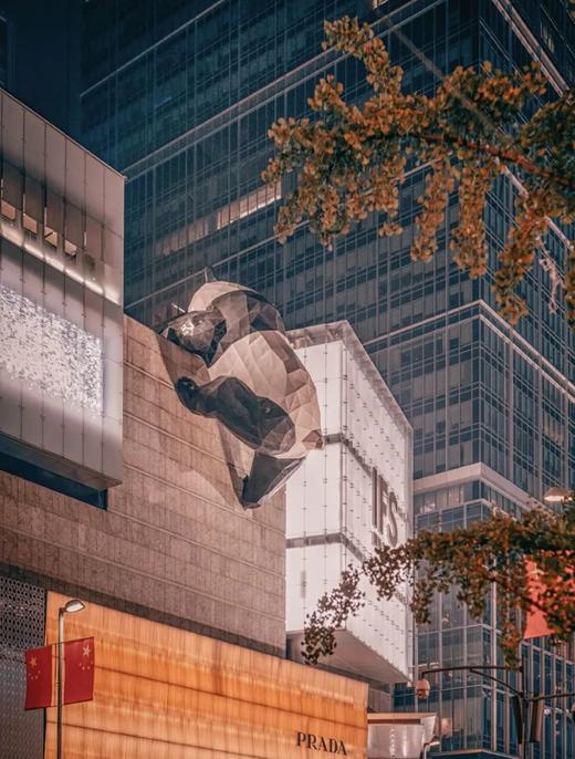 国庆 | 寻迹成都•大熊猫义工体验营！全程五钻度假酒店、探秘三星堆考古、看非遗变脸、穿戏服...一次玩遍成都特色！ 商品图3