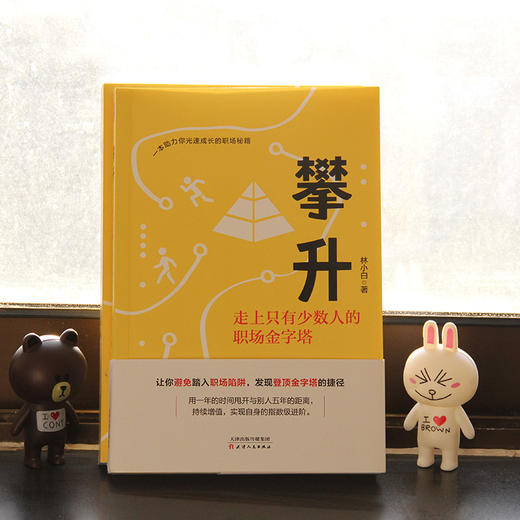 (仓发) 攀升：走上只有少数人的职场金字塔/天津人民出版社/林小白/97872011530639787201153063 商品图4