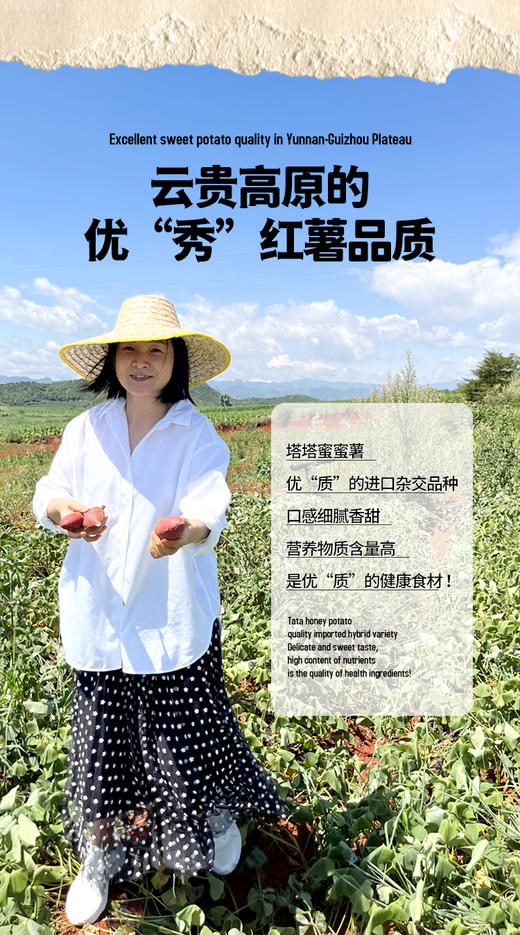 塔塔蜜蜜薯/紫薯【薯于你的甜蜜】 商品图6