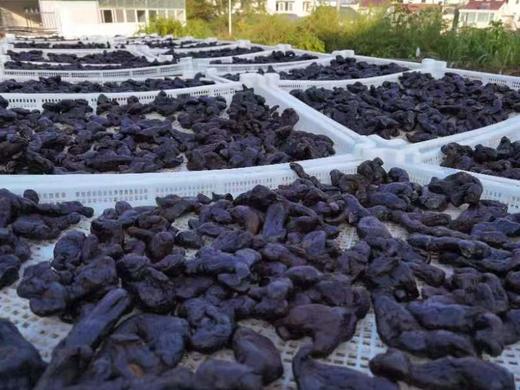 九蒸九晒纯黄精 九华山特产 辟谷 独立包装 200克（约20袋） 商品图6