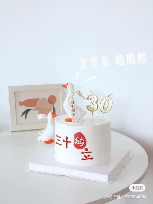 三十鹅立，万事顺意大白鹅 商品图3