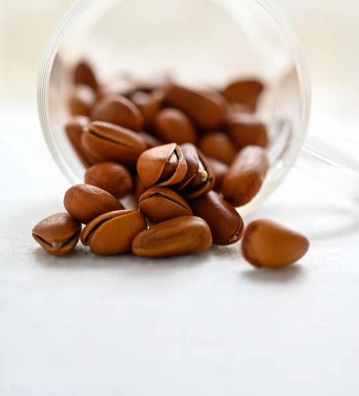 780超大颗粒！超大颗【东北野生松子】粒粒饱满，品质绝绝子！ 商品图8