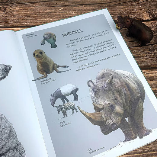 隐秘的地球 商品图4