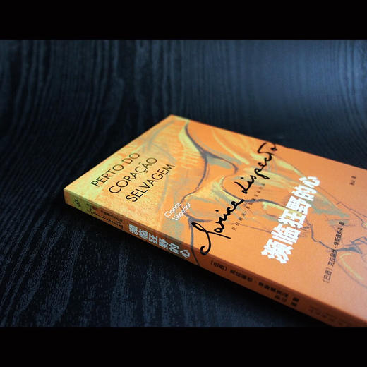 濒临狂野的心 克拉丽丝·李斯佩克朵作品集 克拉丽丝·李斯佩克朵 著 小说 商品图3