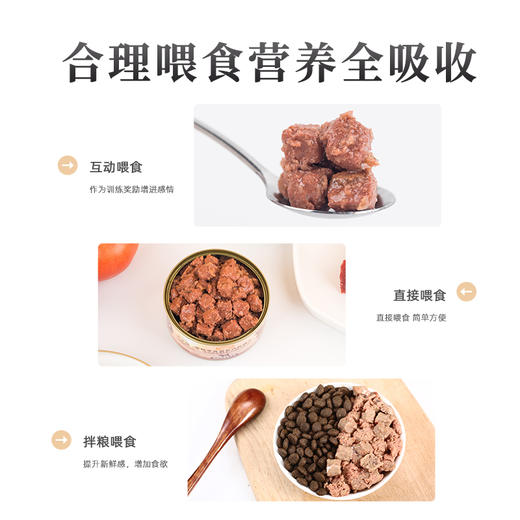 麦富迪狗狗罐头拌饭整箱泰迪狗零食湿粮金毛幼犬宠物零食170gx12 商品图4