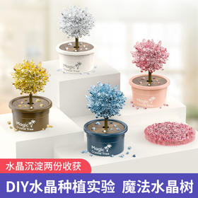 托思奇魔法水晶树DIY水晶种值实验玩具圣诞节礼物