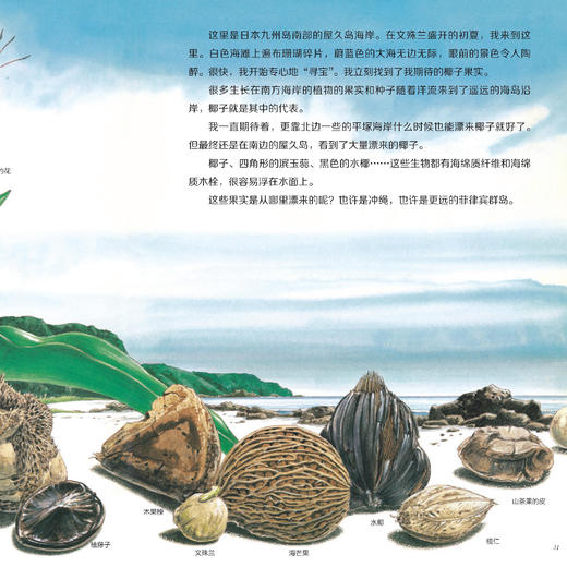 《大科学之友·如果来到天空之上》（共7册） 商品图7