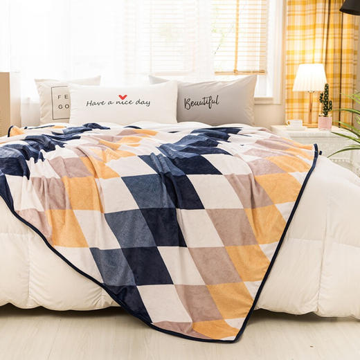 金丝莉（KINTHERI）  格林兰抗静电毯 商品图1