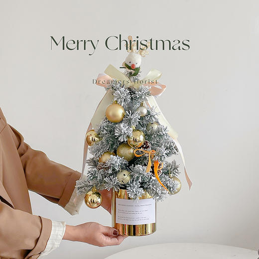 【热卖】圣诞球球（大小混搭）圣诞吊球 商品图8