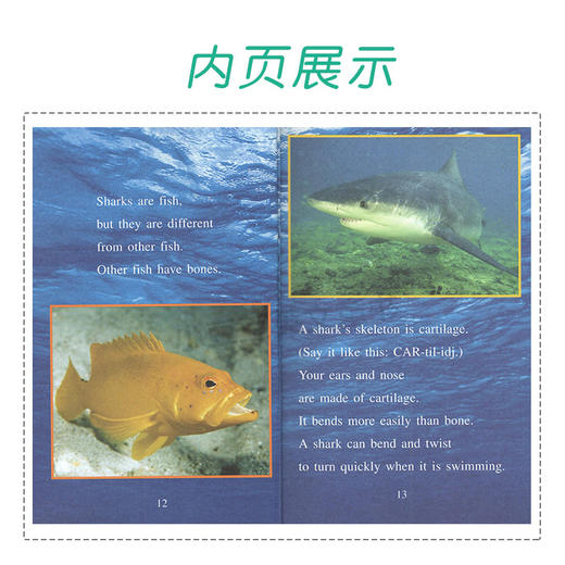 进口英文原版 Amazing 神奇动物系列 6册合售 I can read Level 2 商品图3